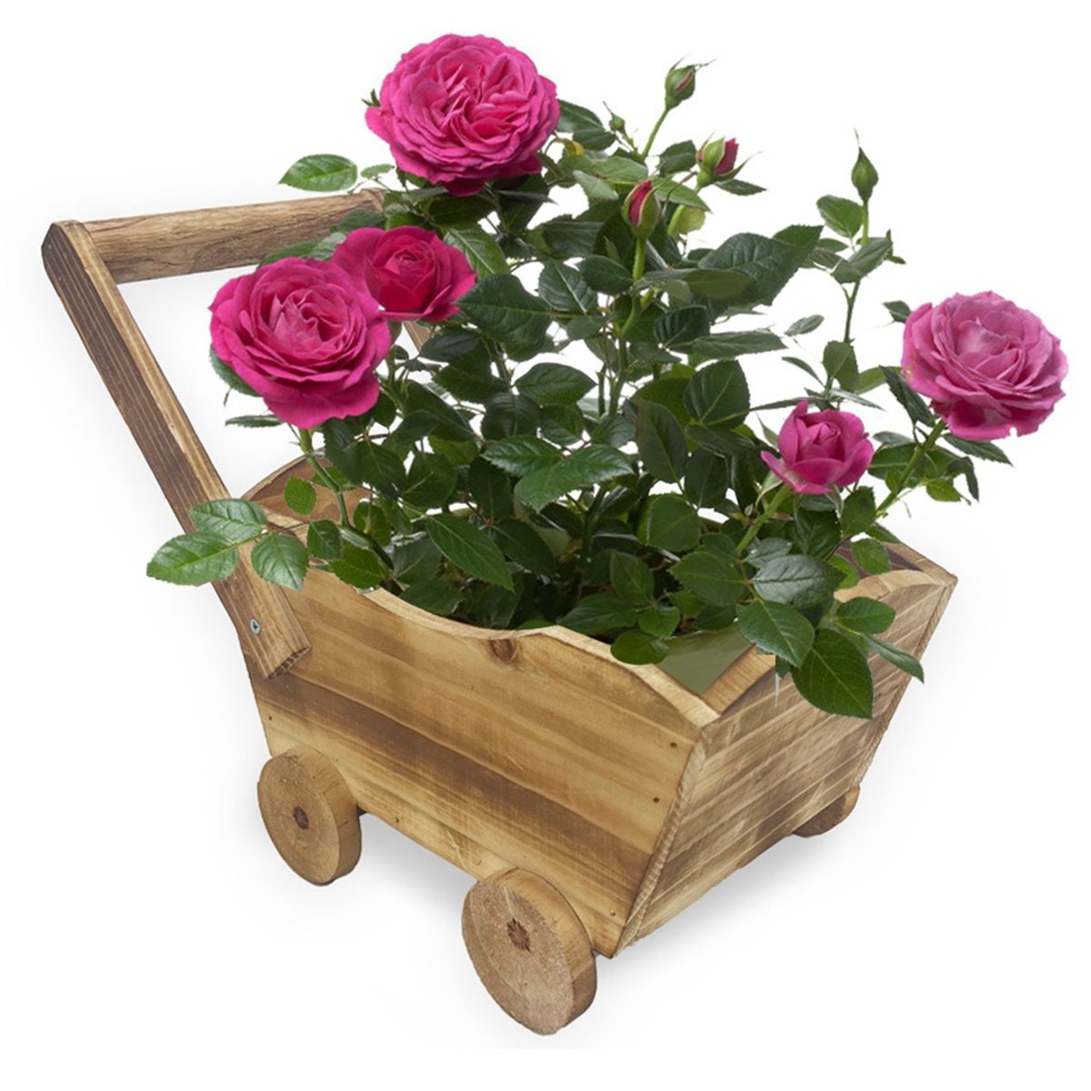 Home Decor Trend 2026 - 2026 Trendiger Cartoon-Auto-Blumentopf für Sukkulenten und