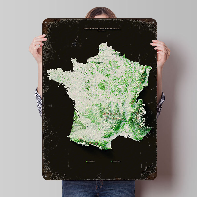 Home Decor Ai - Massifs Forestiers Fran? ?ais Poster, individuelle