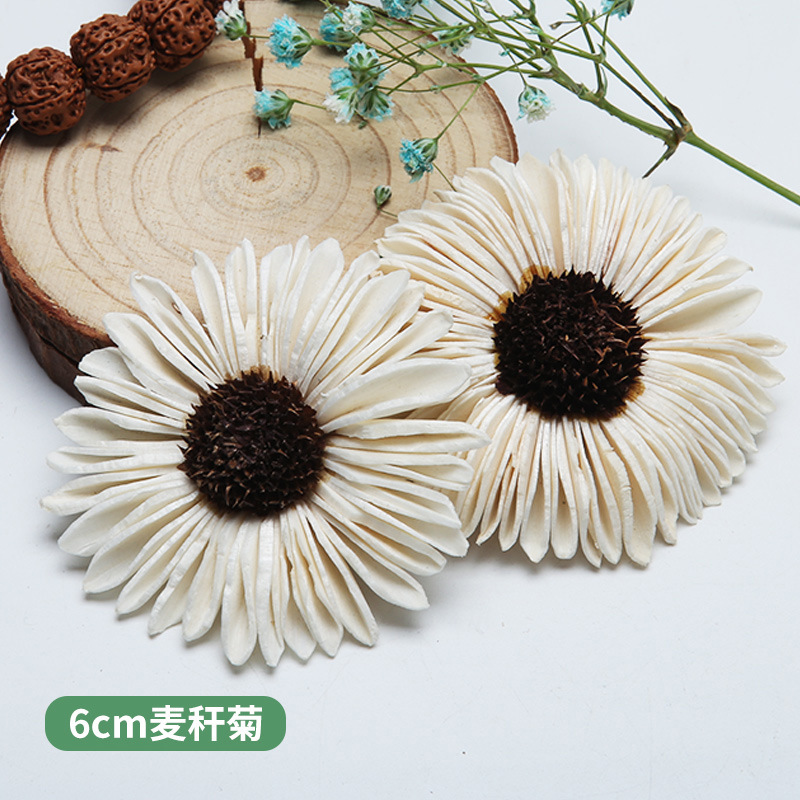 10 Stück afrikanische Gänseblü – Home Decor Daisy Bewertung und Preis