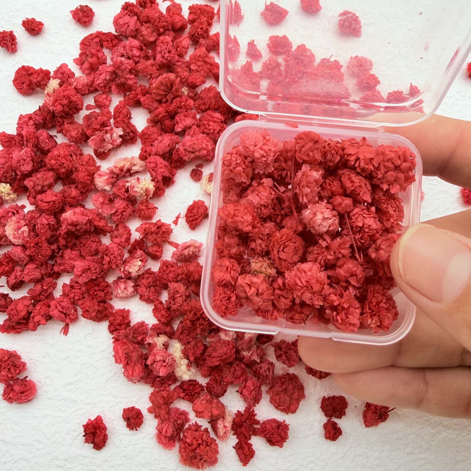1 Box Bunte Blütenköpfe Handge – Home Decor Daisy Bewertung und Preis
