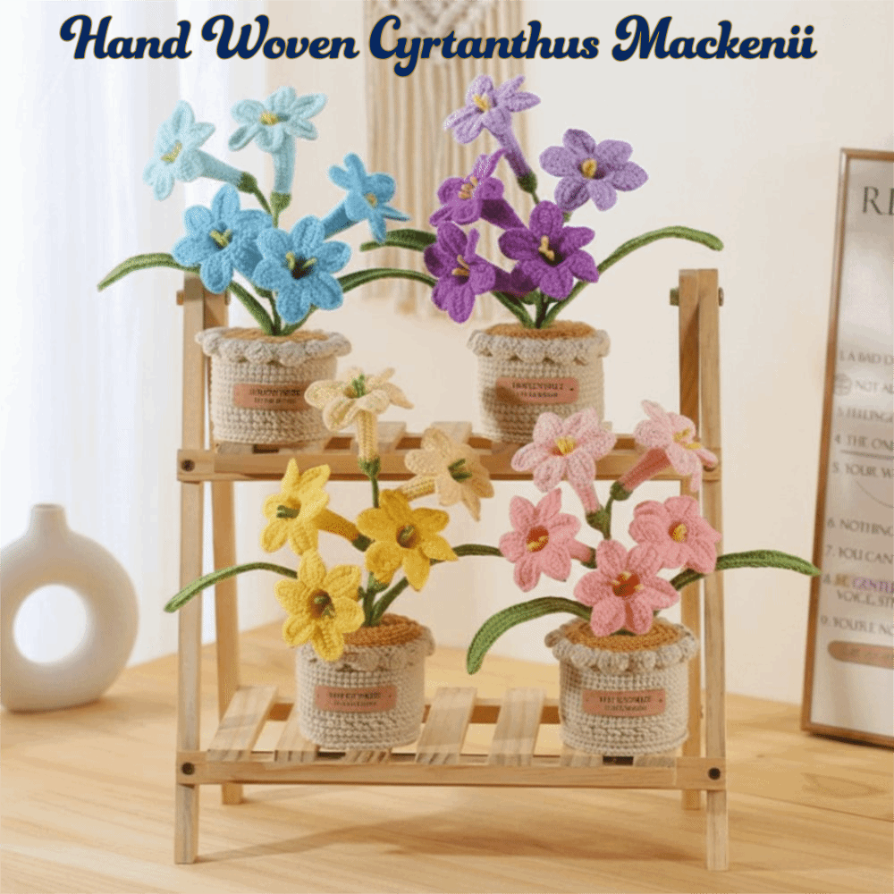 Handgewebte Häkelblumen Cyrtan – Yarn Home Decor Bewertung und Preis