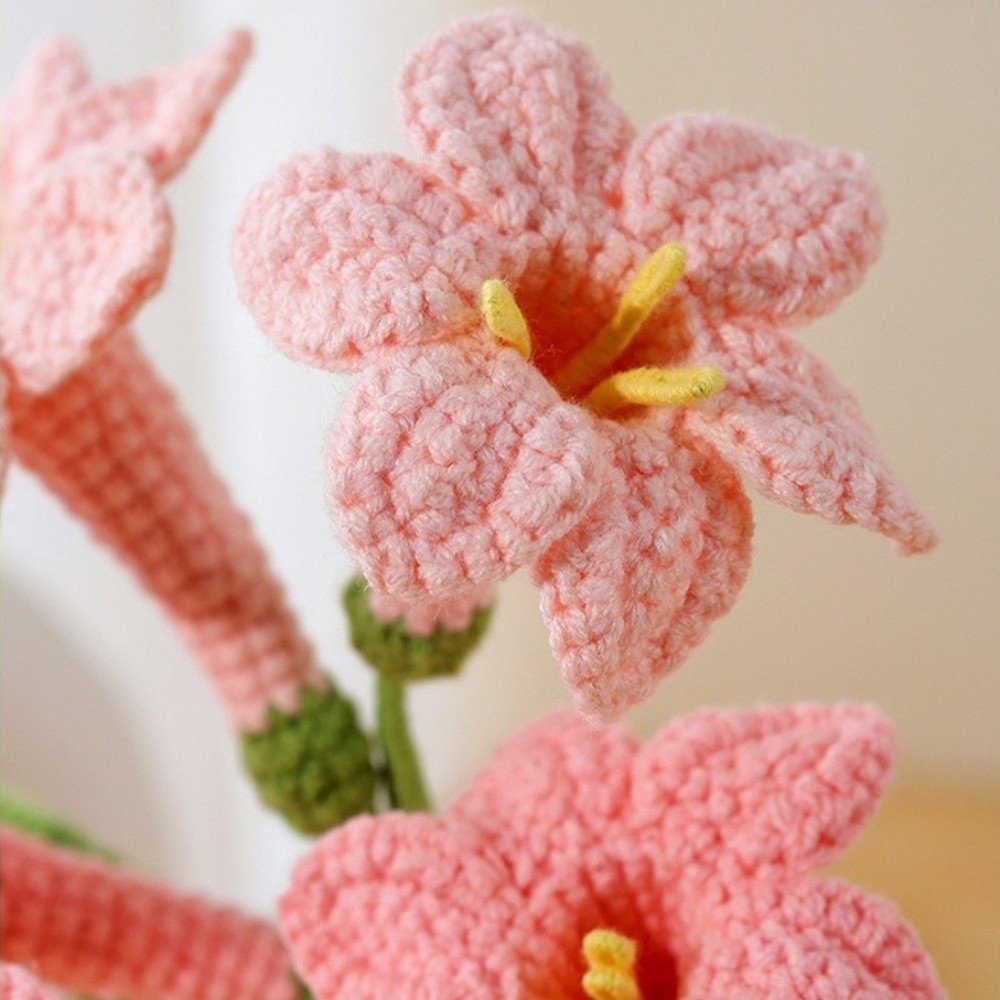 Handgewebte Häkelblumen Cyrtan – Yarn Home Decor Bewertung und Preis